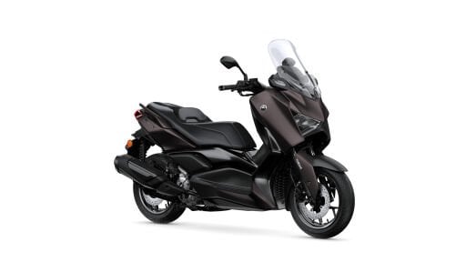X-MAX 250-300