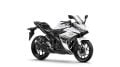 YZF-R25