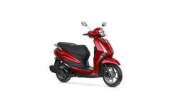 DELİGHT-125
