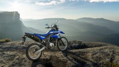 WR 125 R